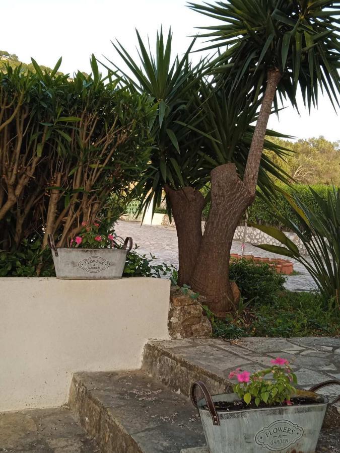 Julietta Suites Argostoli (Kefalonia) Exterior foto