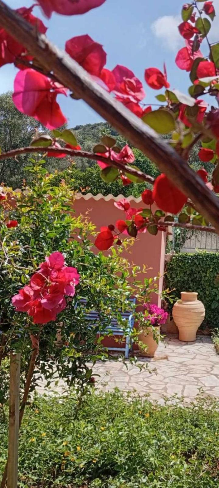 Julietta Suites Argostoli (Kefalonia) Exterior foto